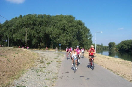bamberg 2003