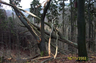 Haselbach Rhön 2002