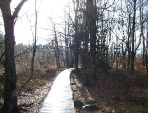 Haselbach Rhön 2003