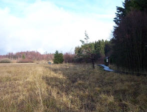 Schwarzes Moor- Rhön