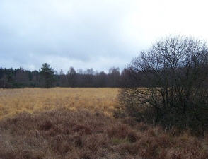 Haselbach Rhön 2003