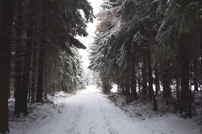 Haselbach Rhön 2004