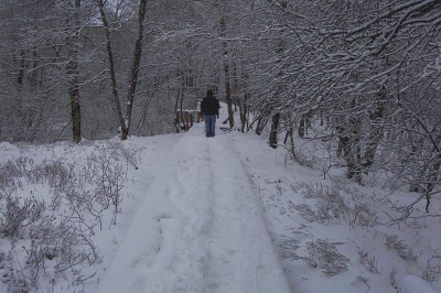 Haselbach Rhön 2004
