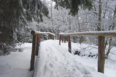 Haselbach Rhön 2004