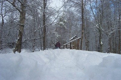 Haselbach Rhön 2004