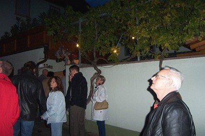 Weinprobe Garstadt 2004