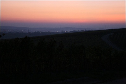 Weinprobe Lother Wipfeld 2008