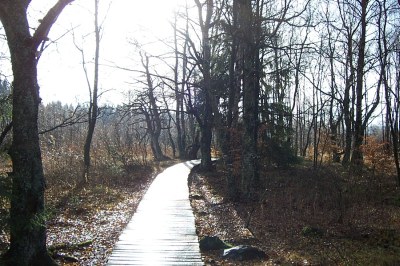 Schwarzes Moor Rhön